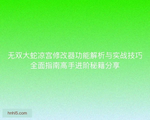无双大蛇凉宫修改器功能解析与实战技巧全面指南高手进阶秘籍分享