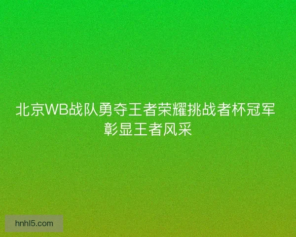 北京WB战队勇夺王者荣耀挑战者杯冠军 彰显王者风采