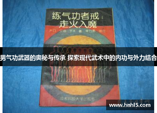 男气功武器的奥秘与传承 探索现代武术中的内功与外力结合
