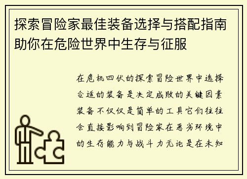 探索冒险家最佳装备选择与搭配指南助你在危险世界中生存与征服
